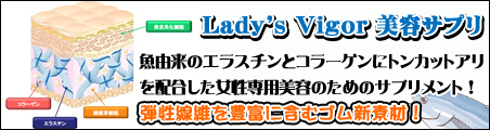 Lady's Vigor�@���e�T�v��