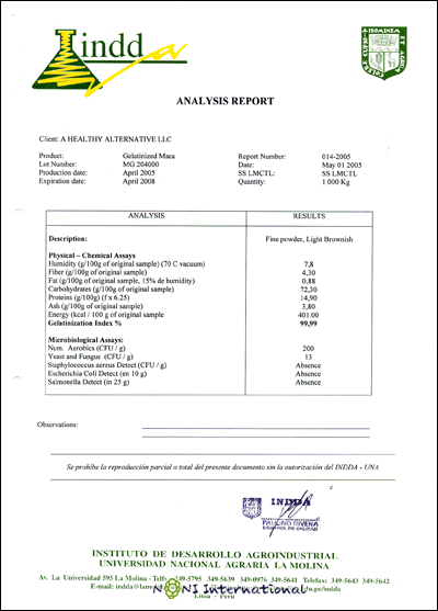 ANALYSIS REPORT