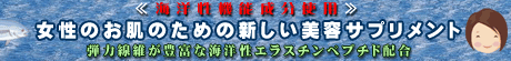 �����̂����̂��߂̐V�������e�T�v�������g