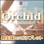 �q�b�|�W���[�X�^�u���b �g�uOrchid�v