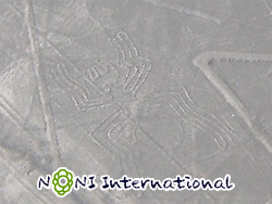 nG@N