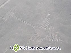 nG@n`h